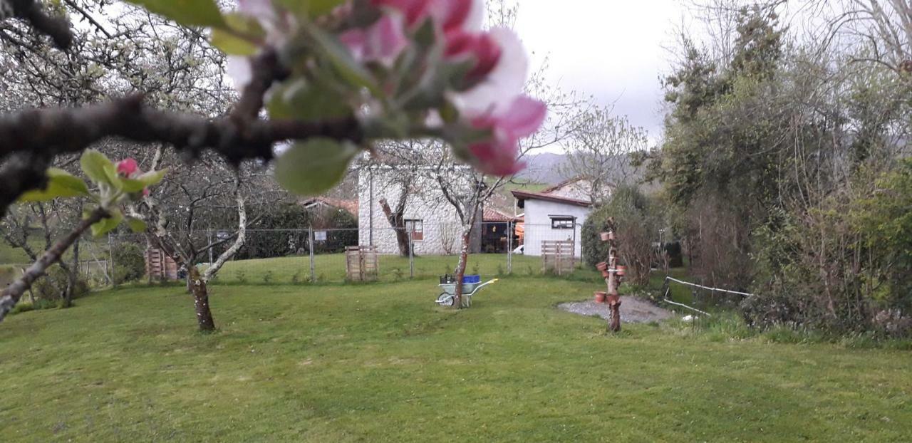 Villa Flor De Pomar Corao Exterior foto