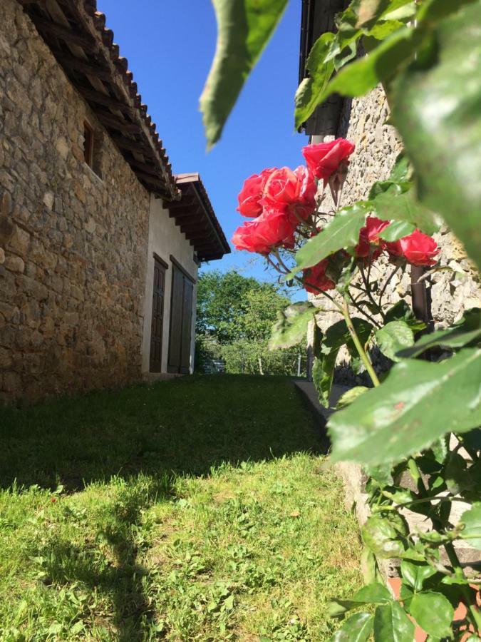 Villa Flor De Pomar Corao Exterior foto