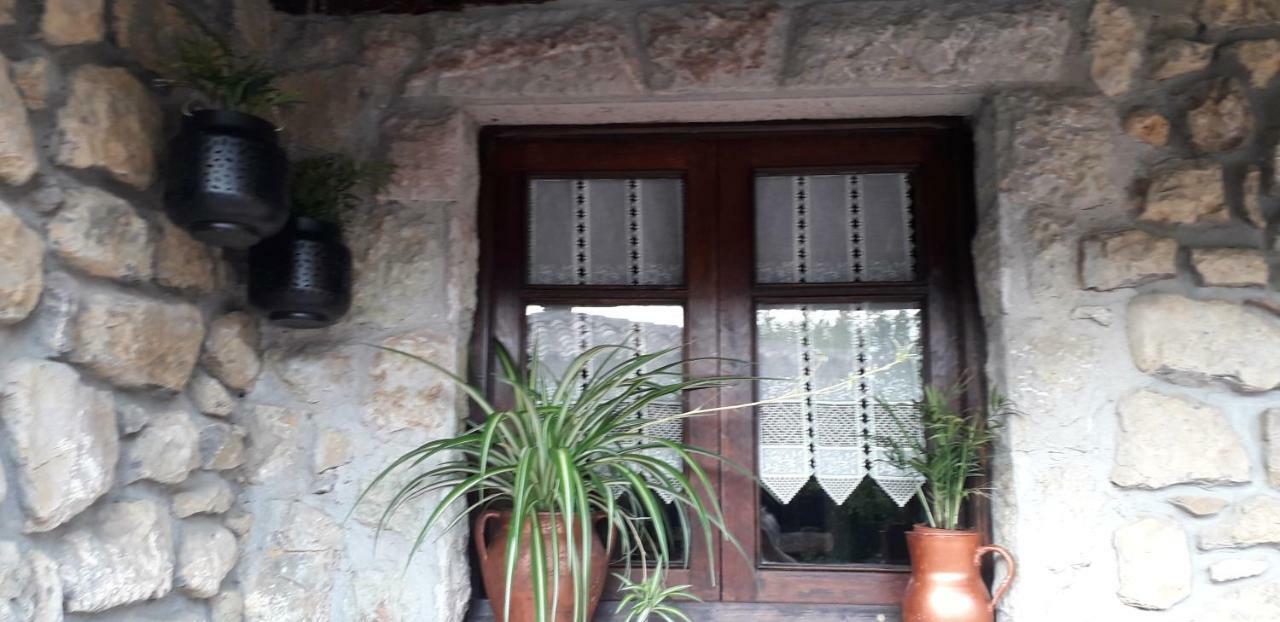 Villa Flor De Pomar Corao Exterior foto