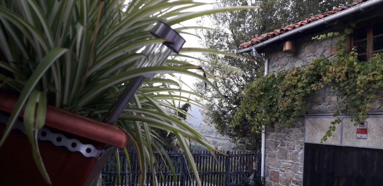 Villa Flor De Pomar Corao Exterior foto